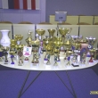 Zbierka z�skan�ch trofej�